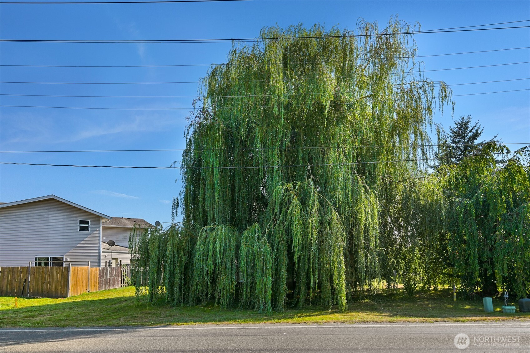 221 Front Street Property Photo 19