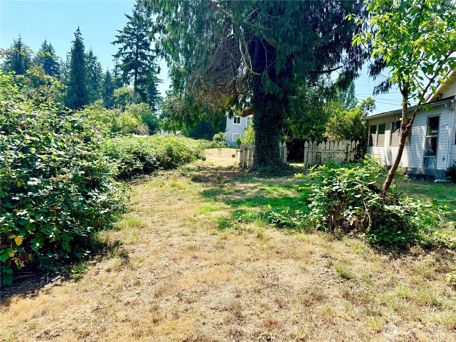 1919 Guy Wetzel Road Property Photo 5