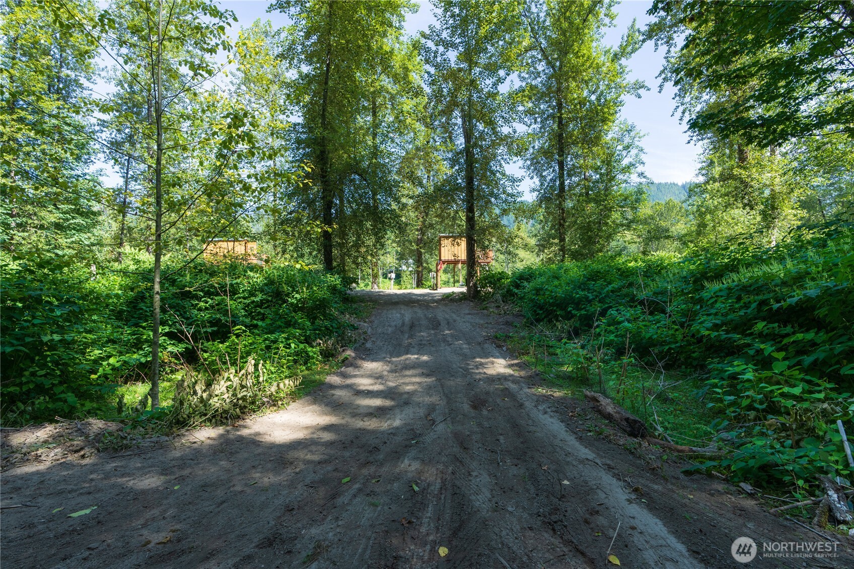 51603 217th Place Property Photo 4