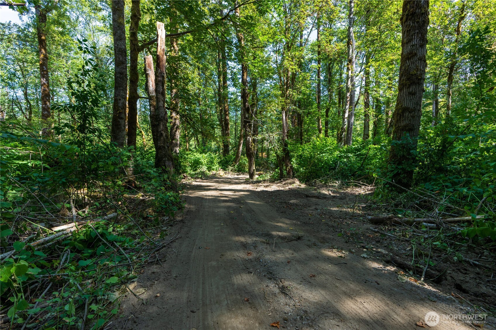 51603 217th Place Property Photo 14