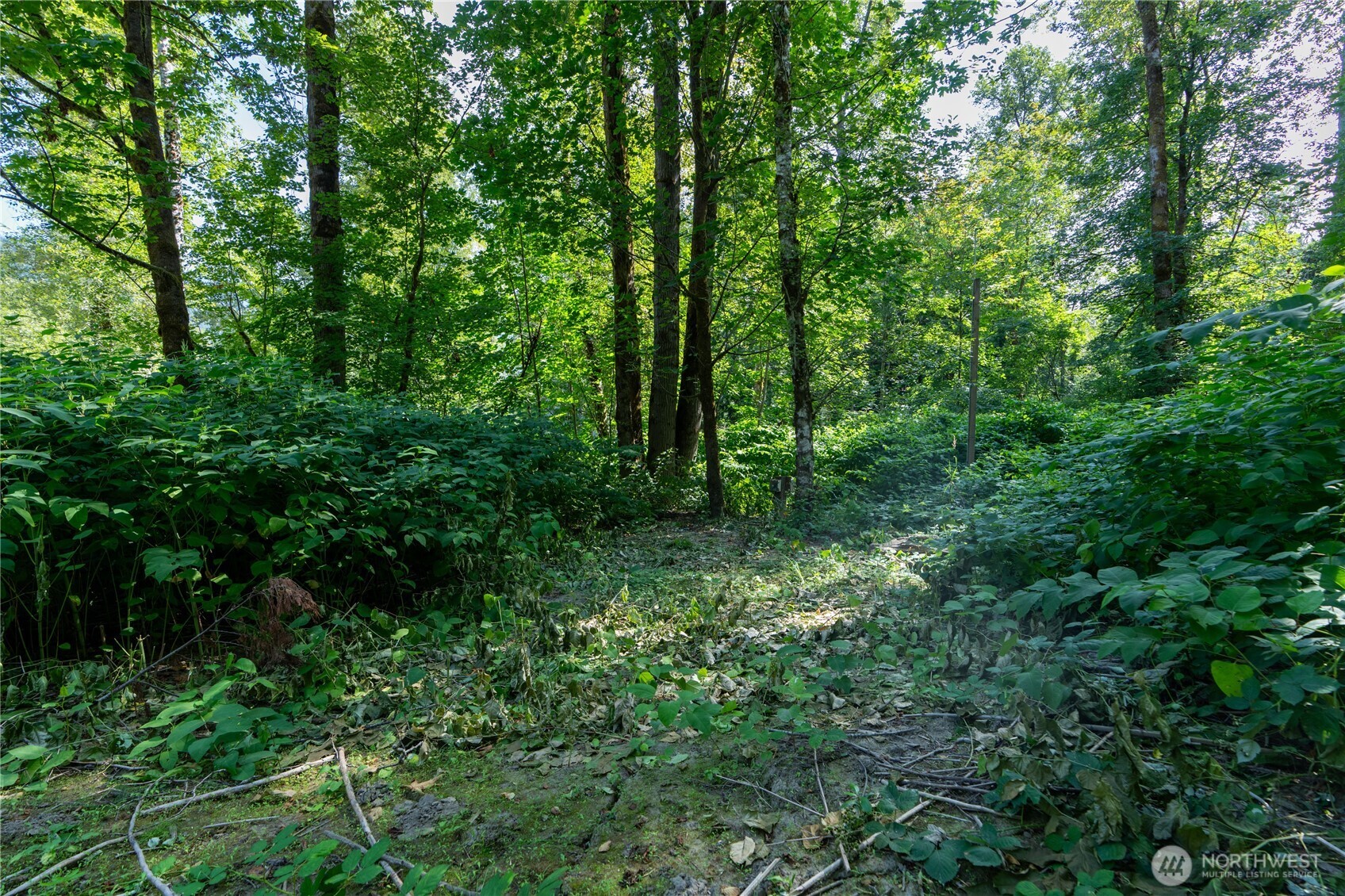 51603 217th Place Property Photo 15