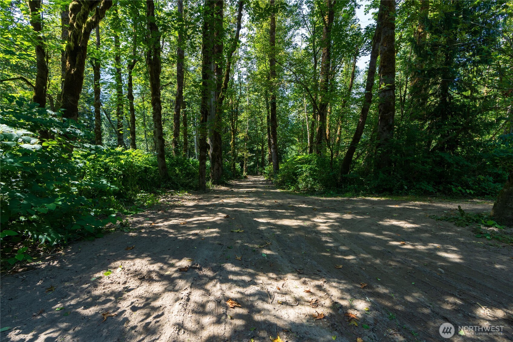 51603 217th Place Property Photo 16