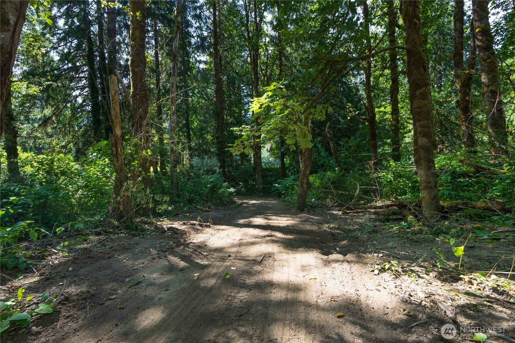 51603 217th Place Property Photo 17