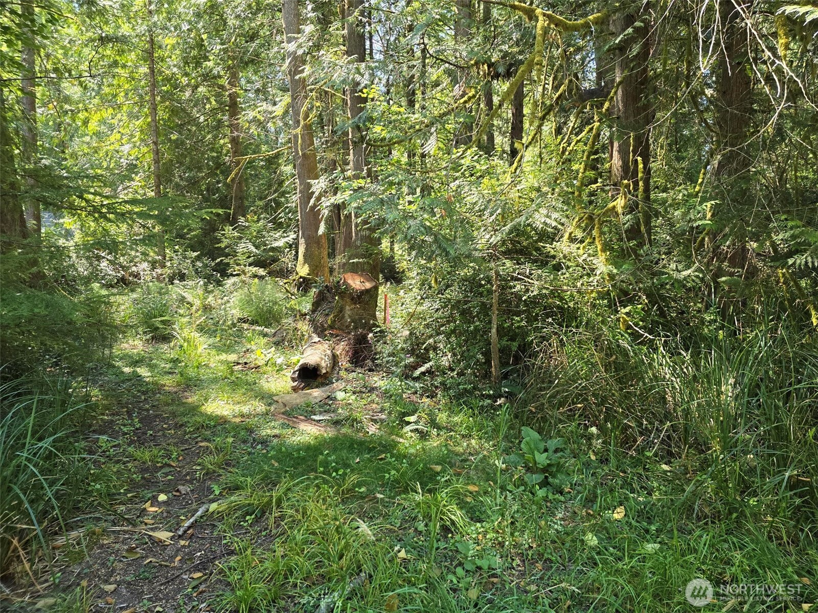 100 E Liberty Road Property Photo 2