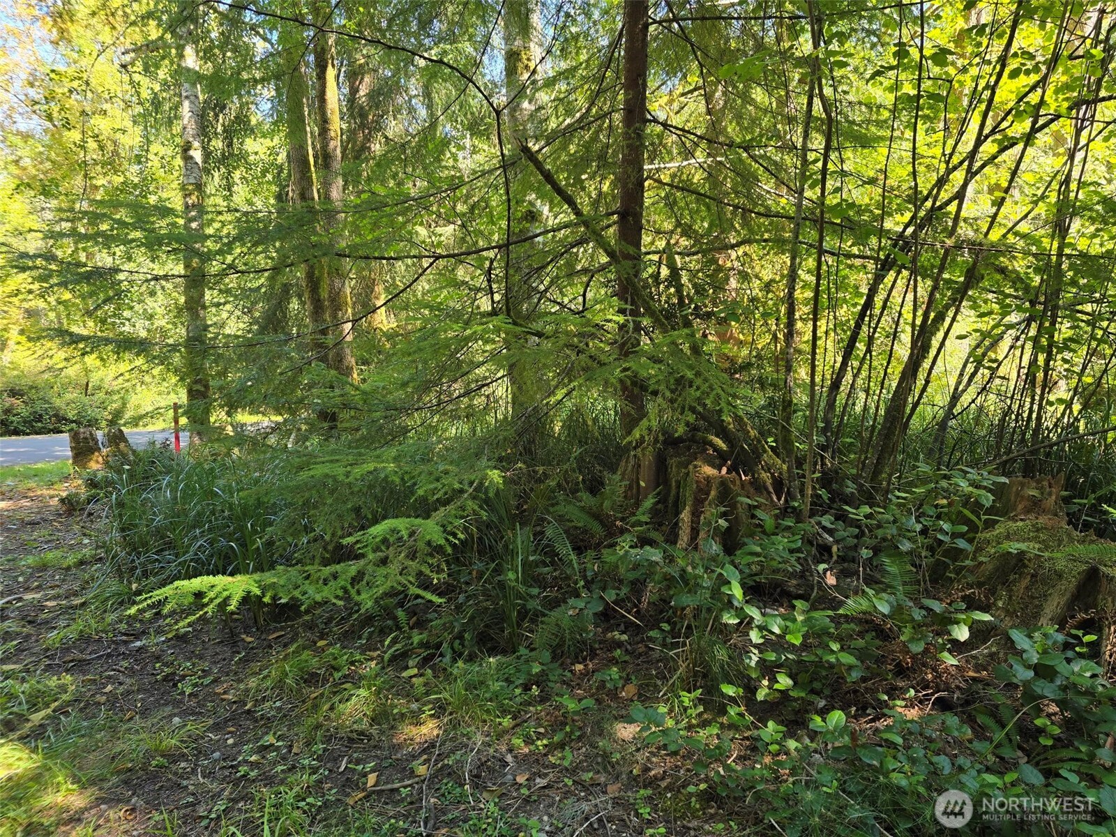 100 E Liberty Road Property Photo 11