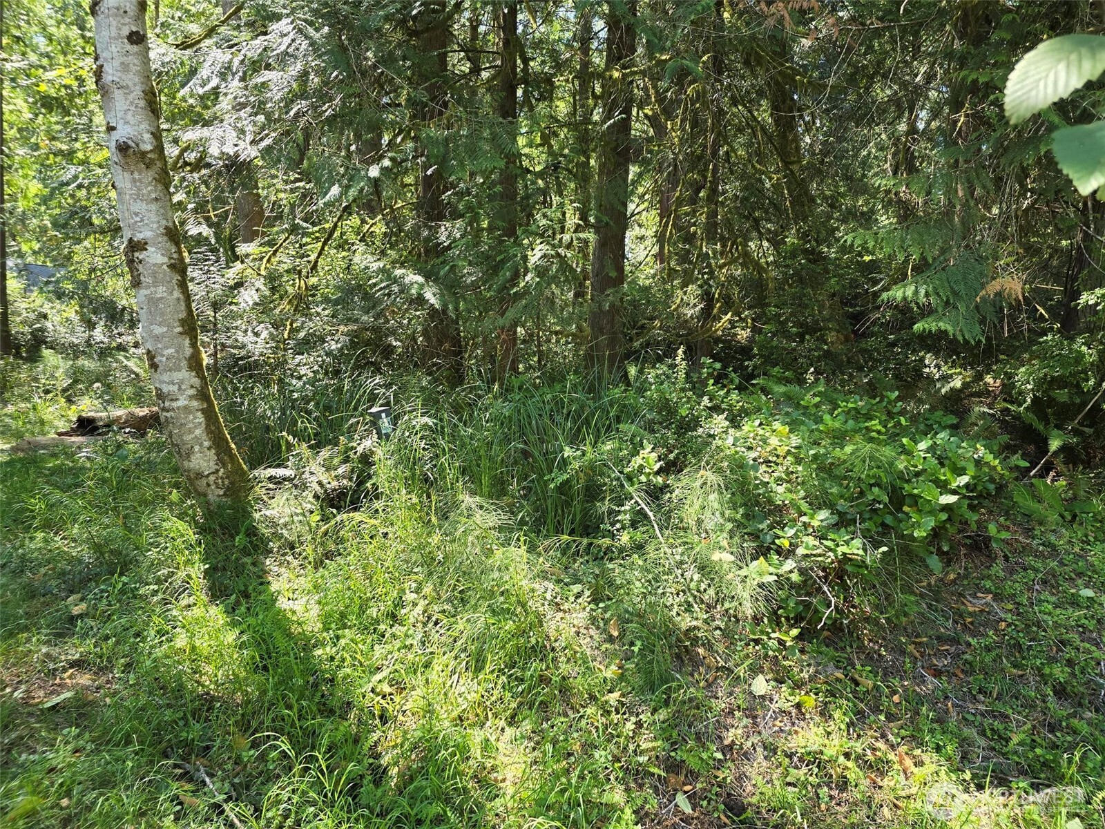 100 E Liberty Road Property Photo 12