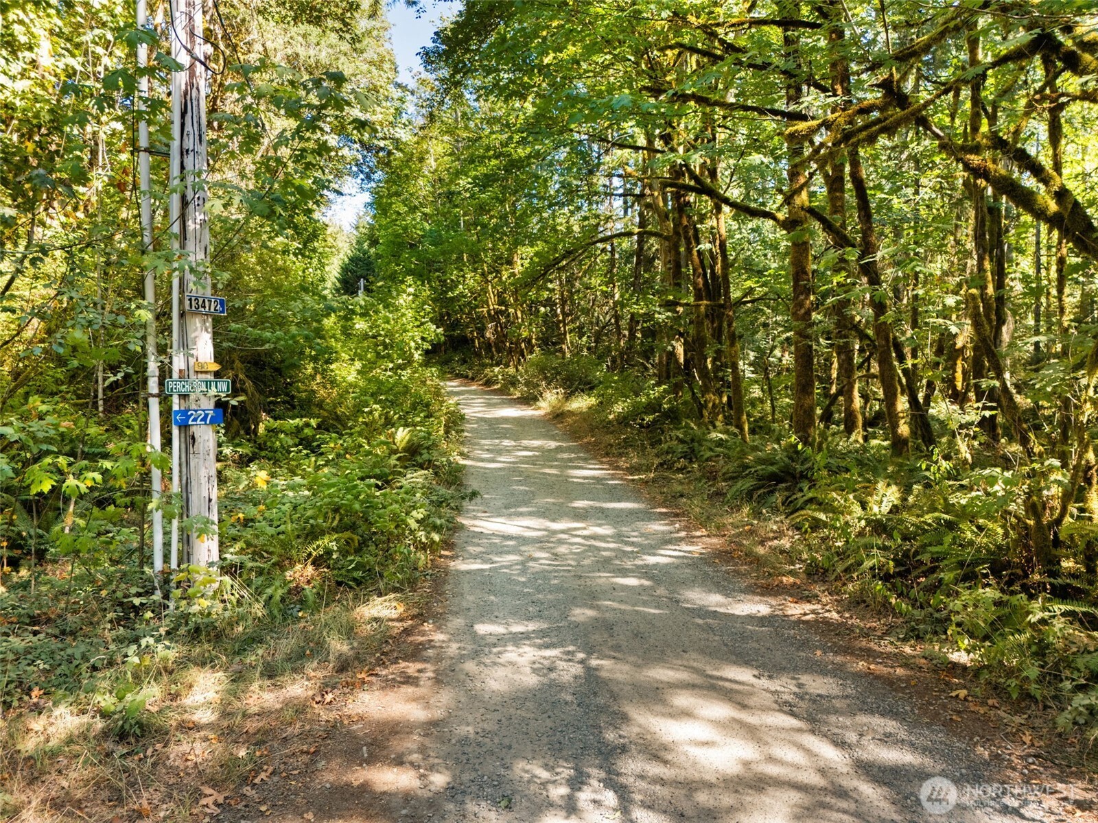 0 Tenino Drive Property Photo 4