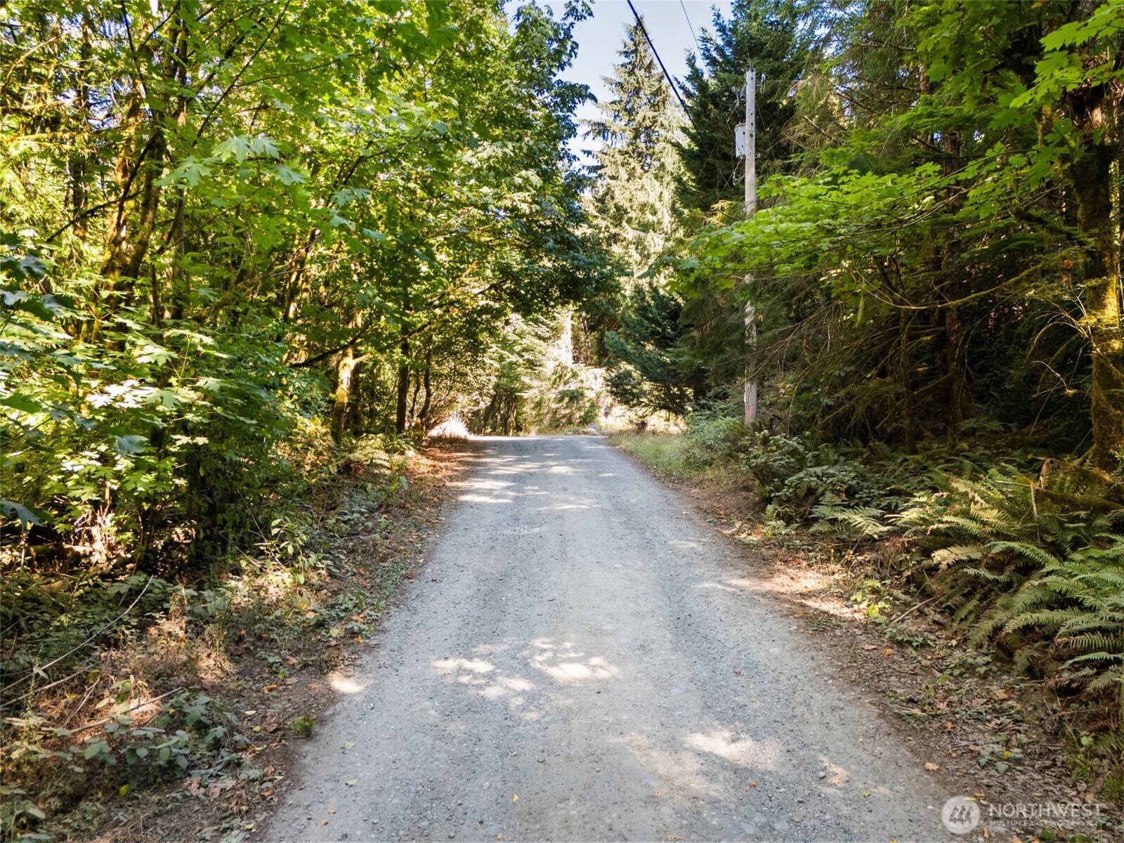 0 Tenino Drive Property Photo 5