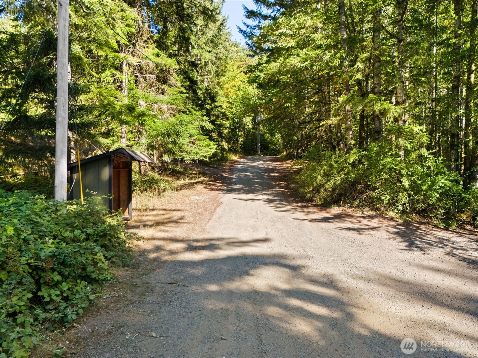 0 Tenino Drive Property Photo 6