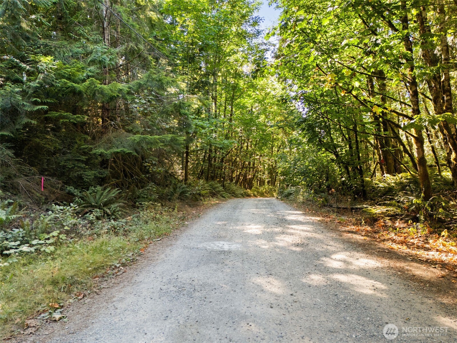 0 Tenino Drive Property Photo 7