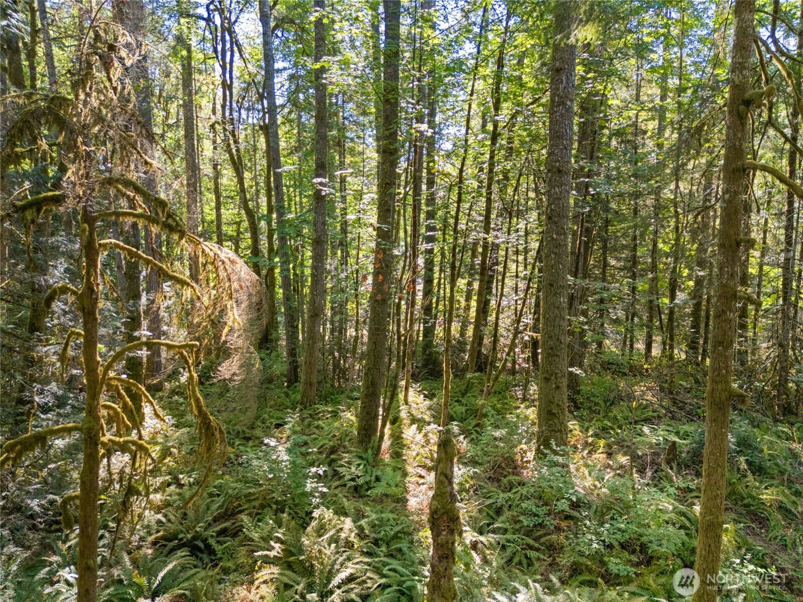 0 Tenino Drive Property Photo 10