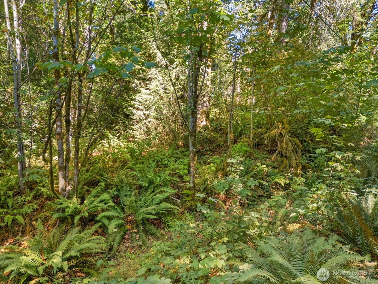 0 Tenino Drive Property Photo 15