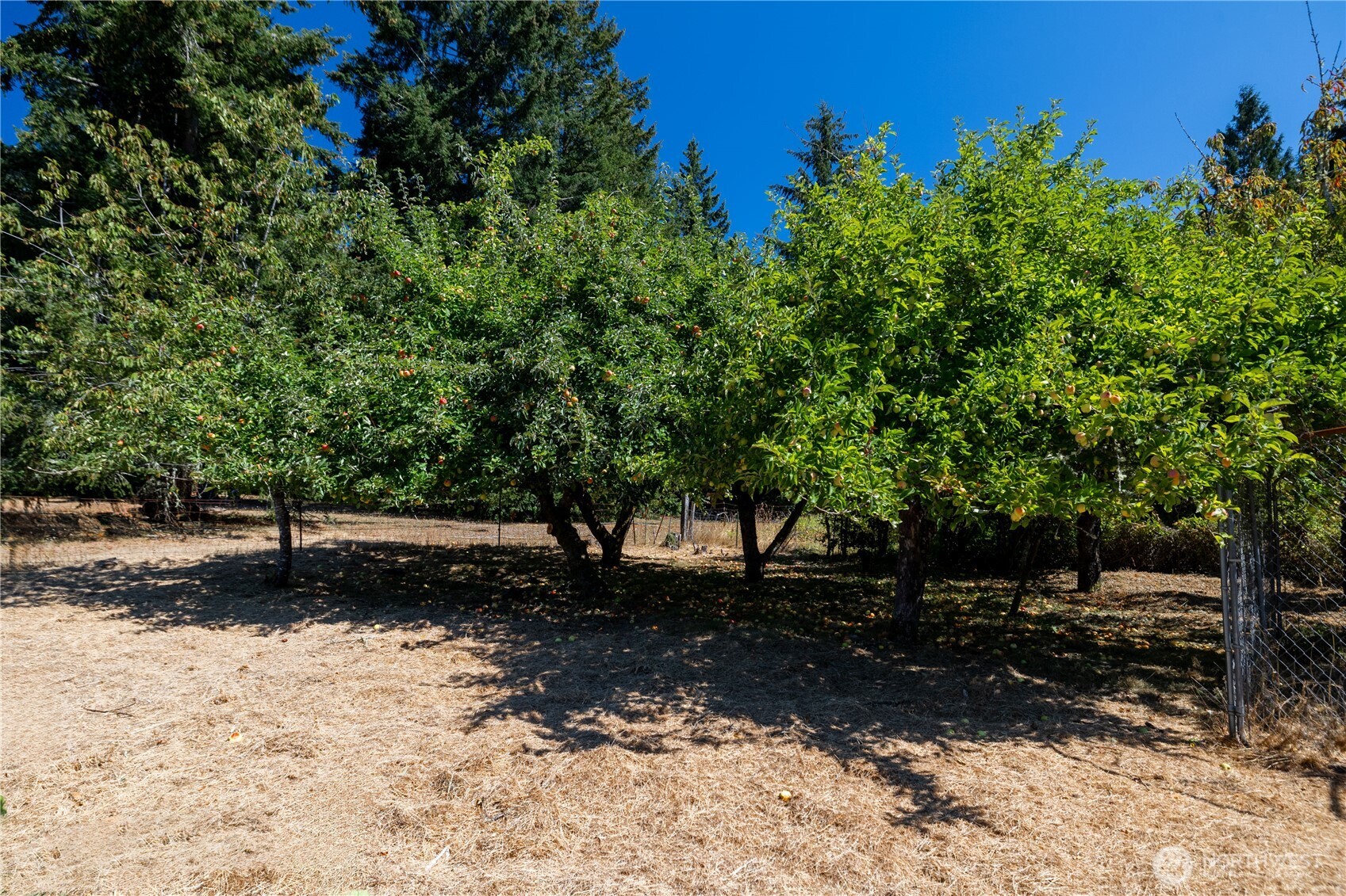 4110 Baker Ames Road Property Photo 37