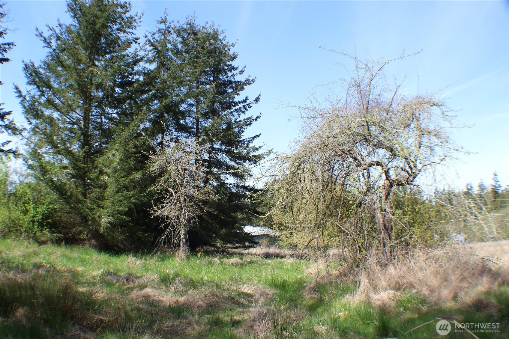 999 Oso Vista Court Property Photo 6