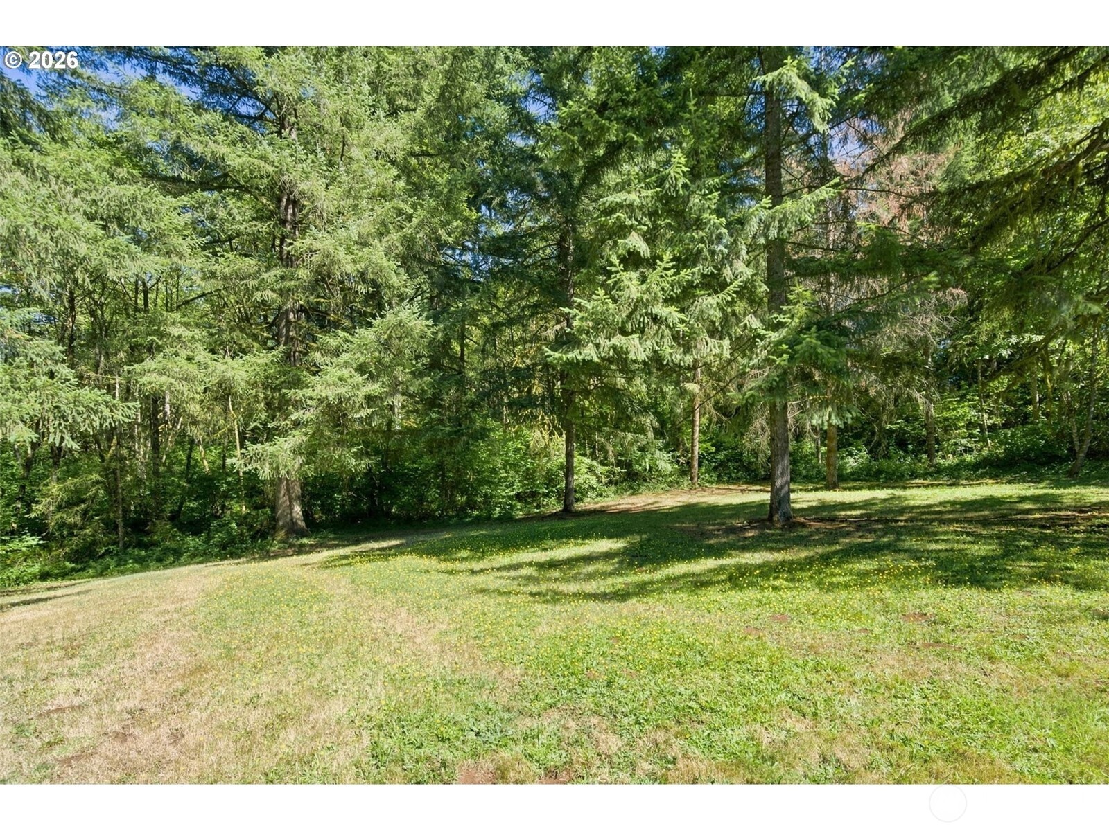 14805 Ne 249th Avenue Property Photo 39