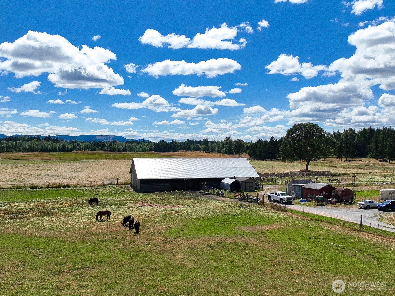 12649 Bald Hill Road Property Photo 9