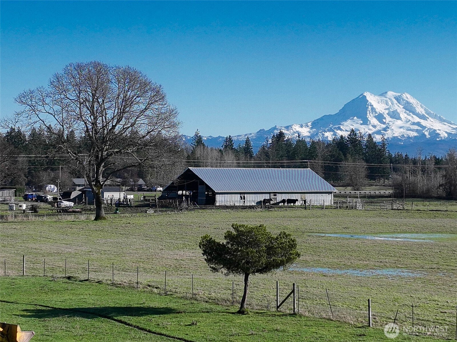 12649 Bald Hill Road Property Photo 12