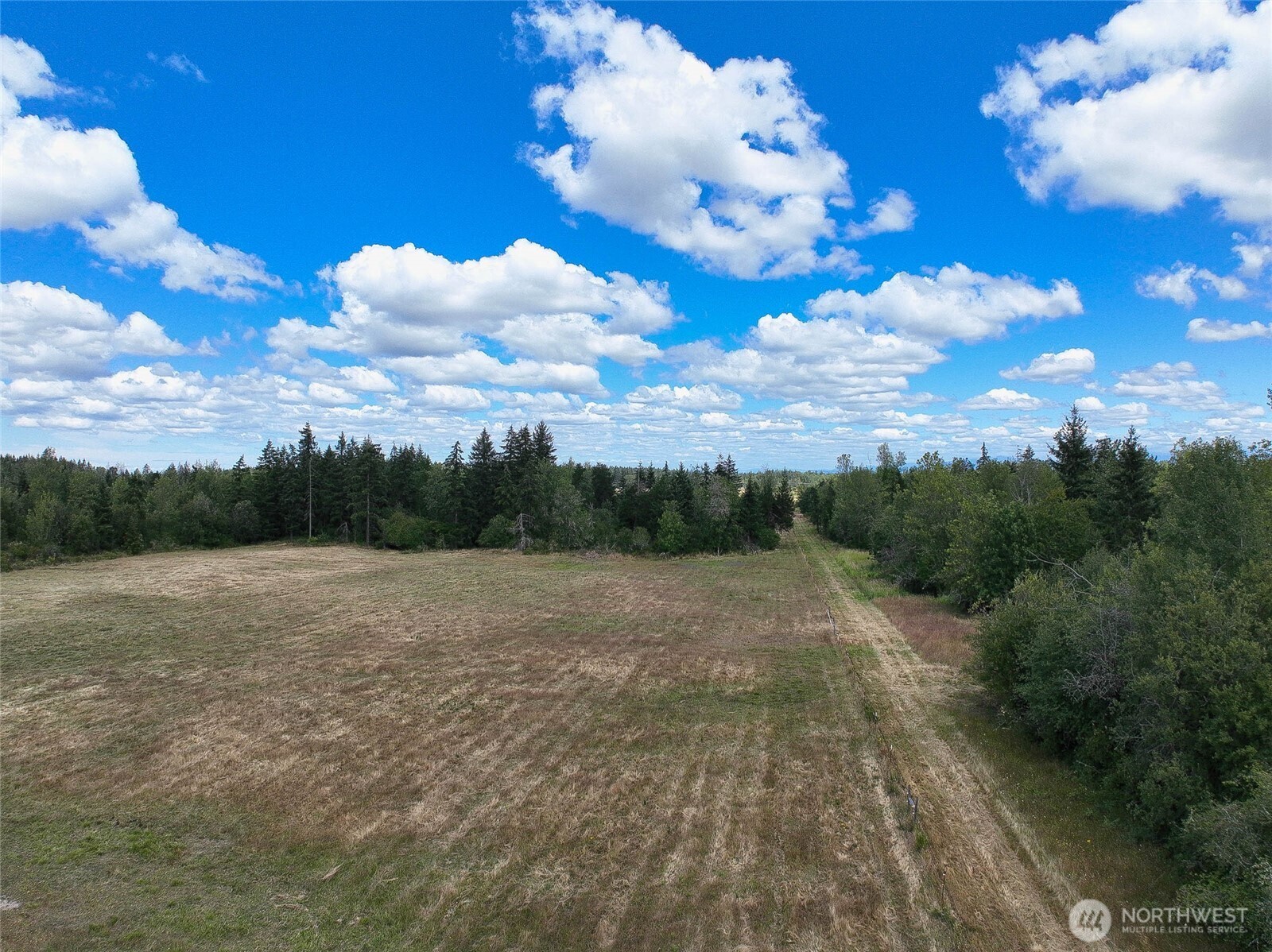 12649 Bald Hill Road Property Photo 15