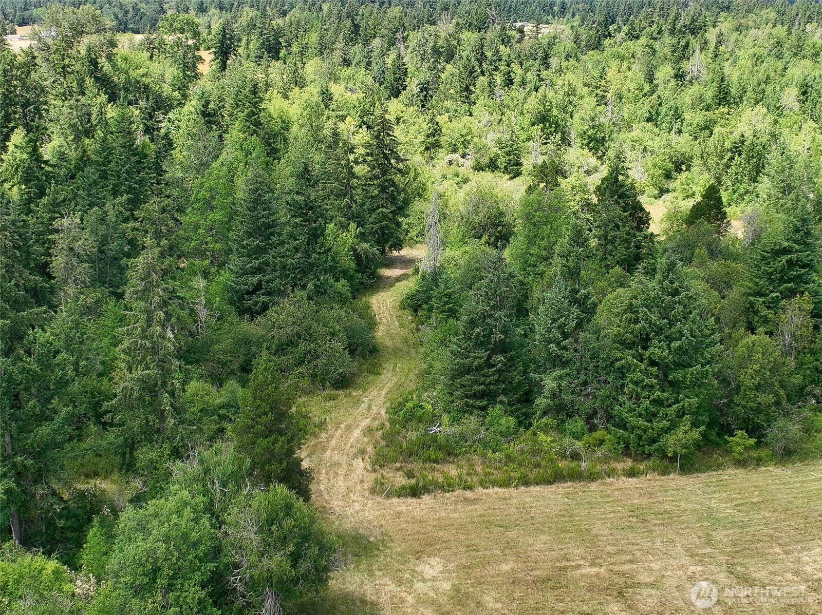 12649 Bald Hill Road Property Photo 16