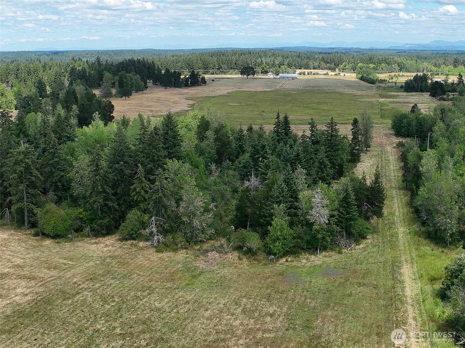 12649 Bald Hill Road Property Photo 20