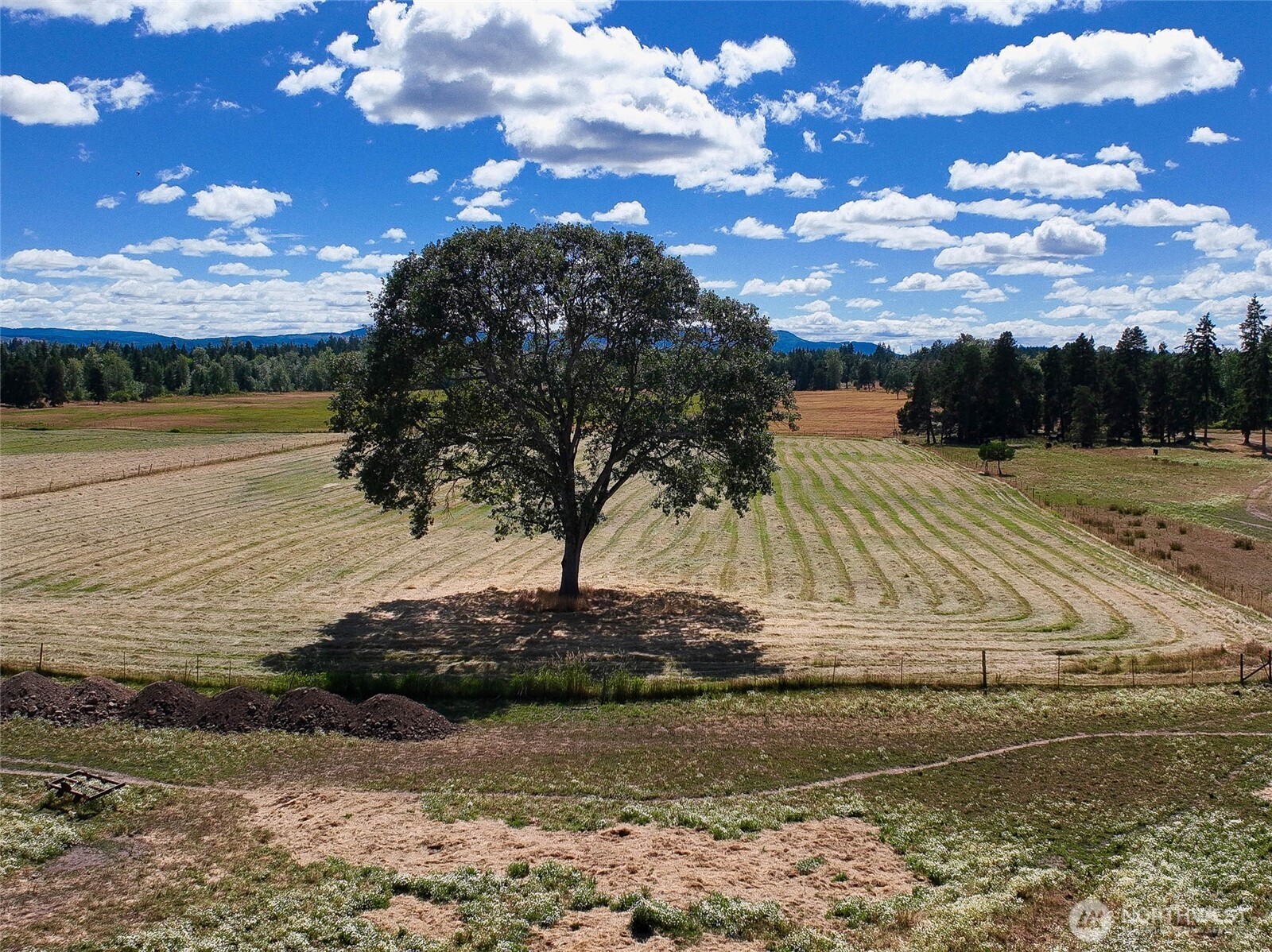 12649 Bald Hill Road Property Photo 29