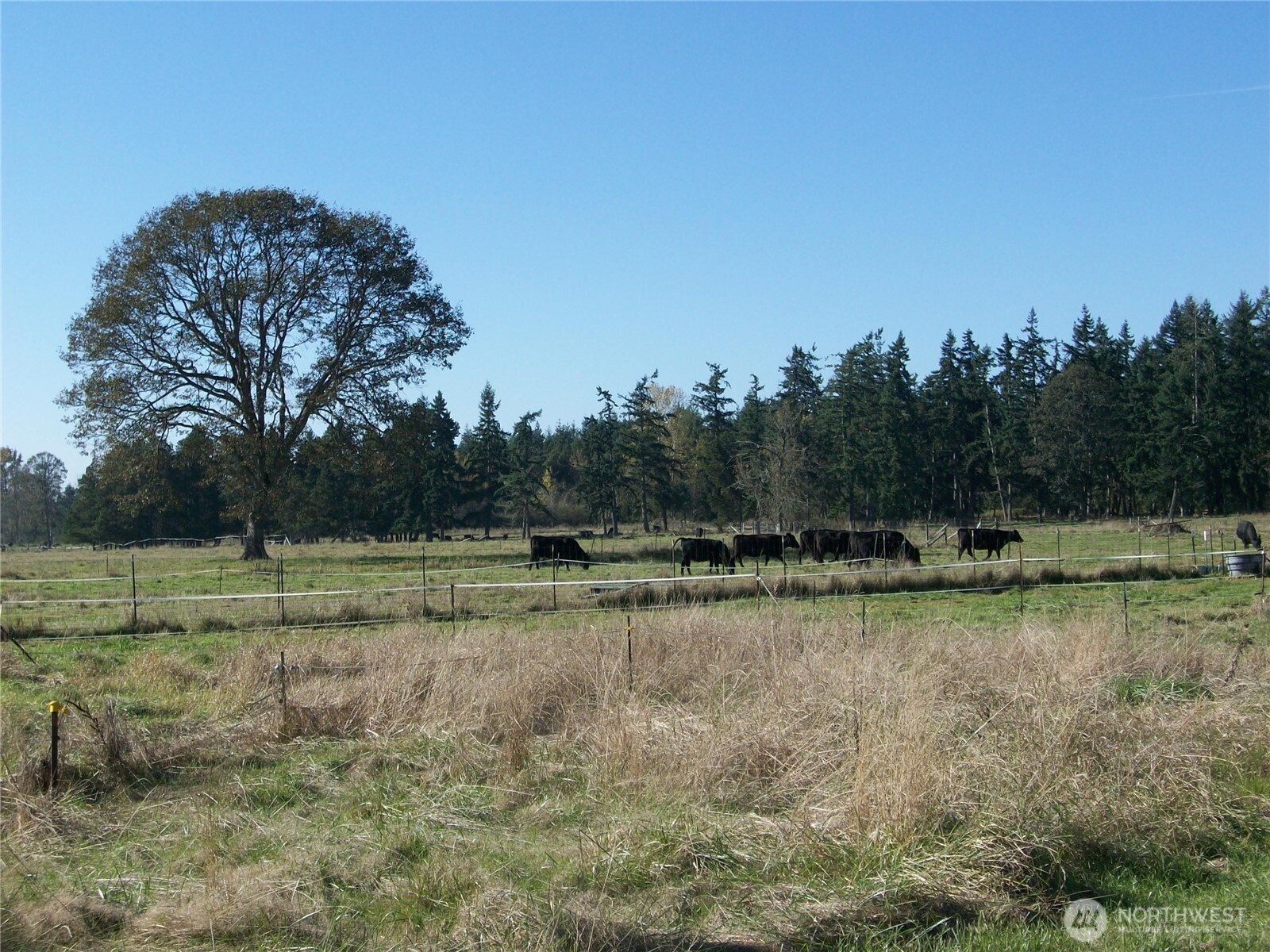 12649 Bald Hill Road Property Photo 31