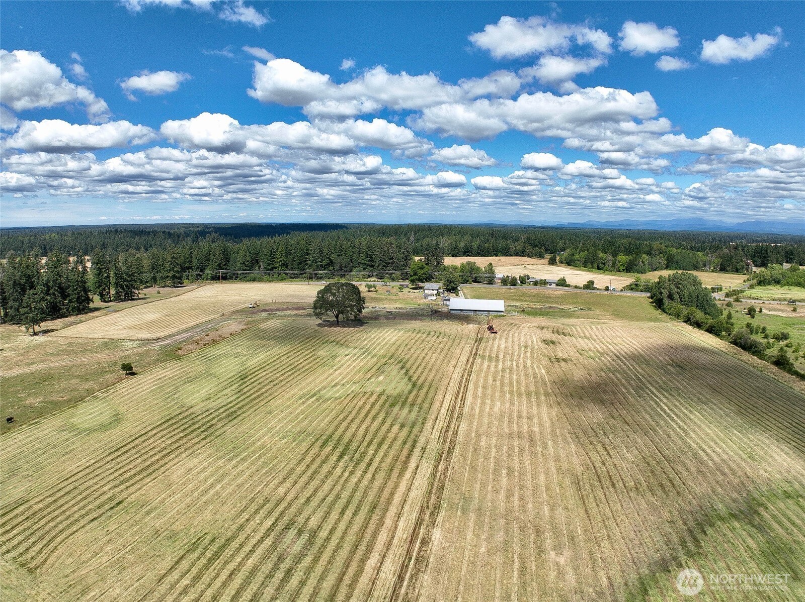 12649 Bald Hill Road Property Photo 33