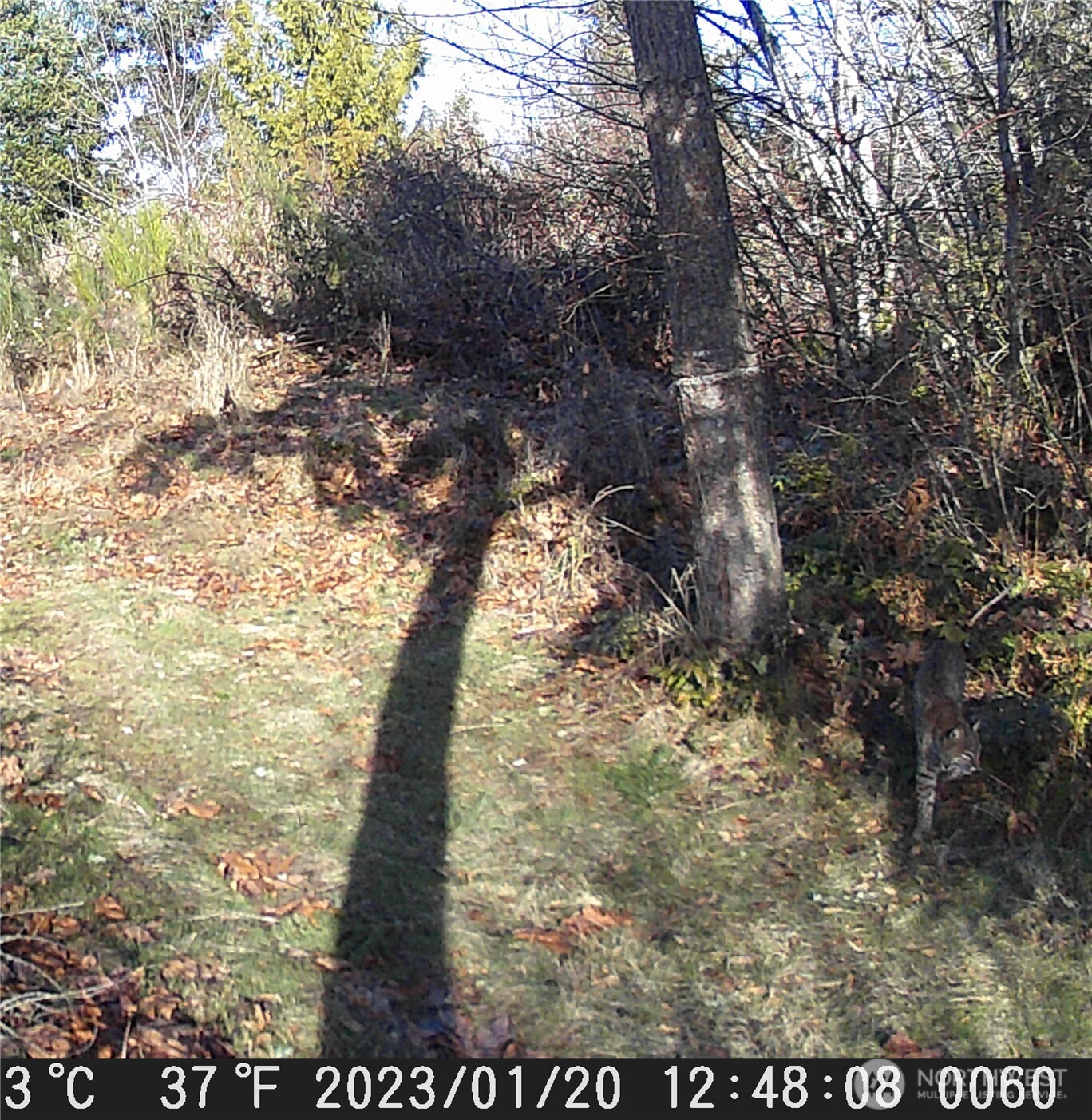 12649 Bald Hill Road Property Photo 39