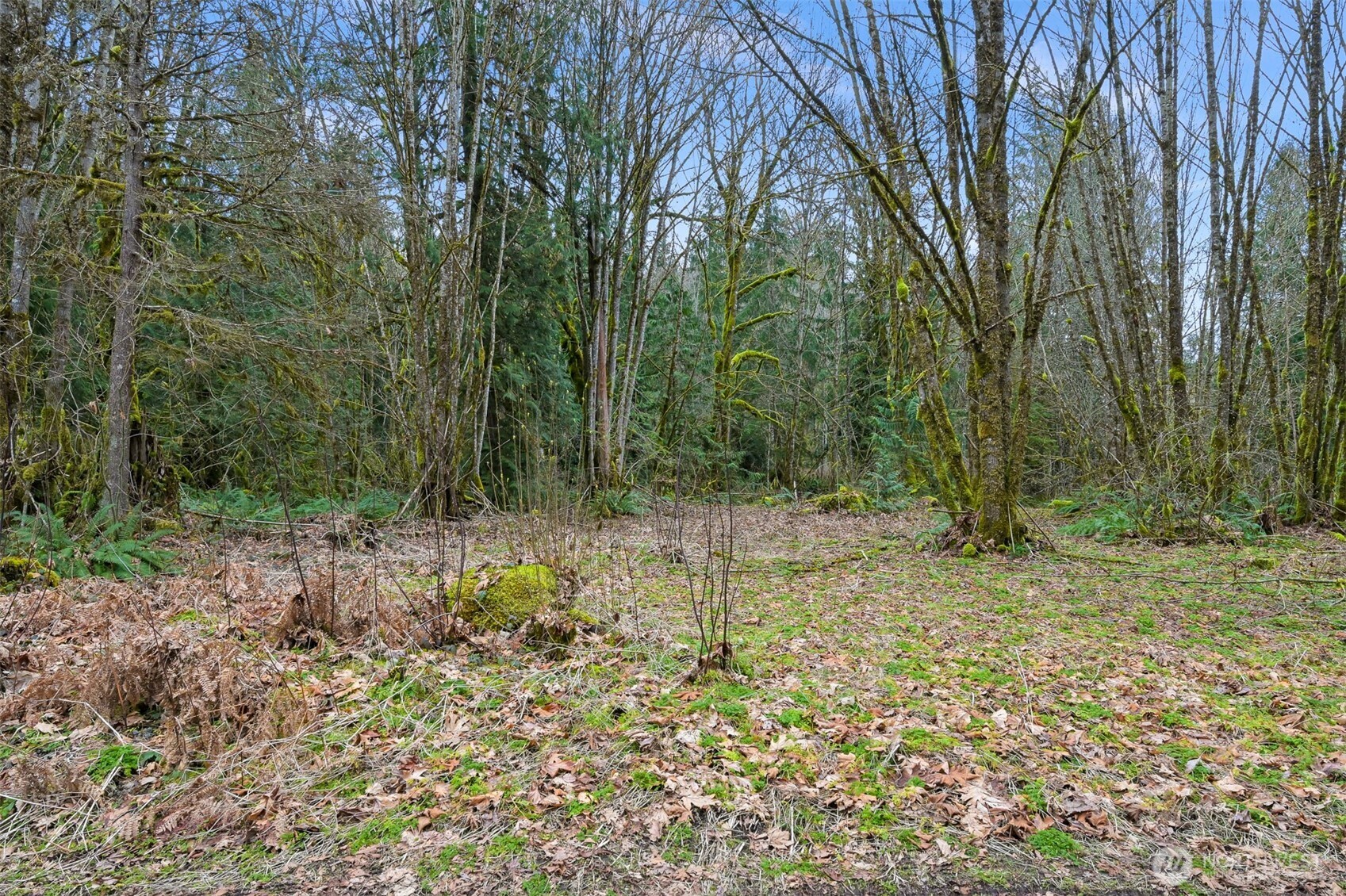 7738 Maple Drive Property Photo 1