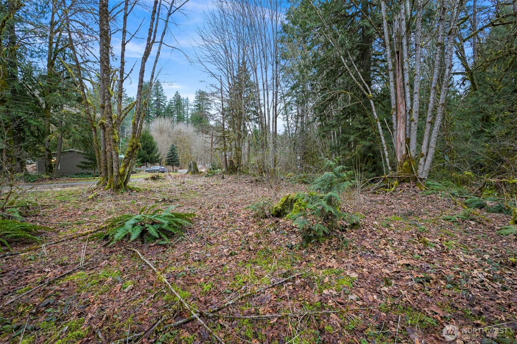 7738 Maple Drive Property Photo 3