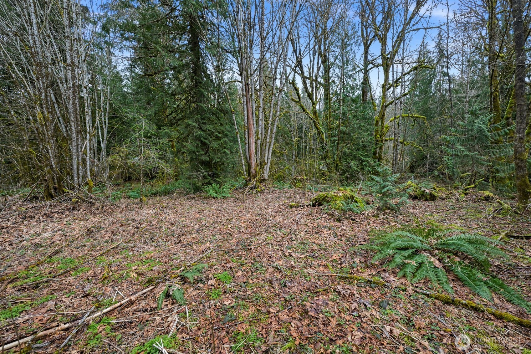 7738 Maple Drive Property Photo 4