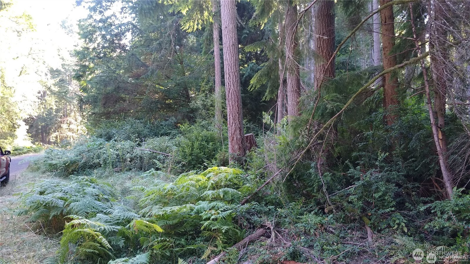 12106 Sound Drive Property Photo 1
