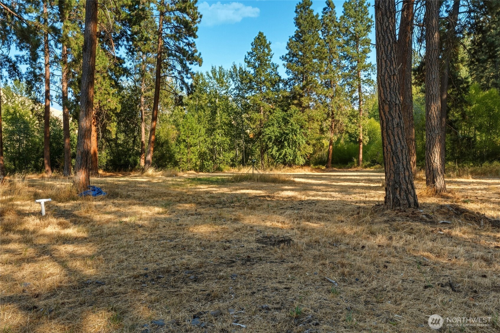 106 Wolf Ridge Lane Property Photo 30
