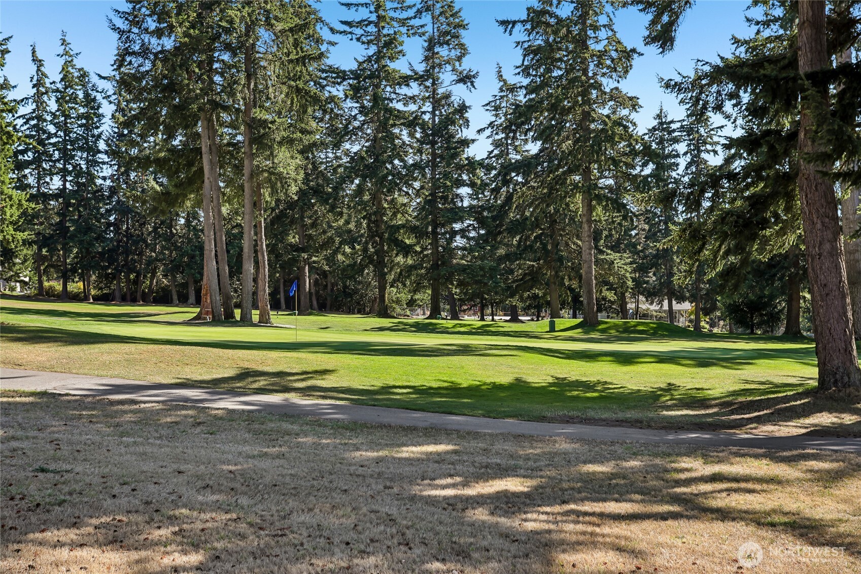 241 Mackenzie Drive Property Photo 29