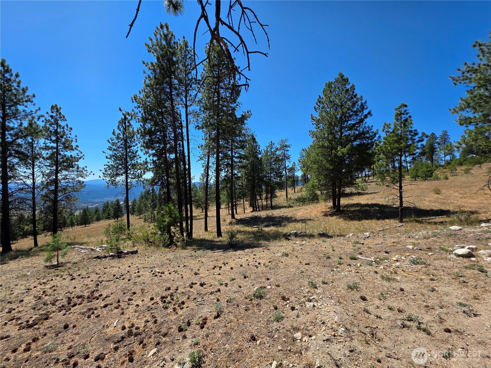 147 W High Country Drive Property Photo 8