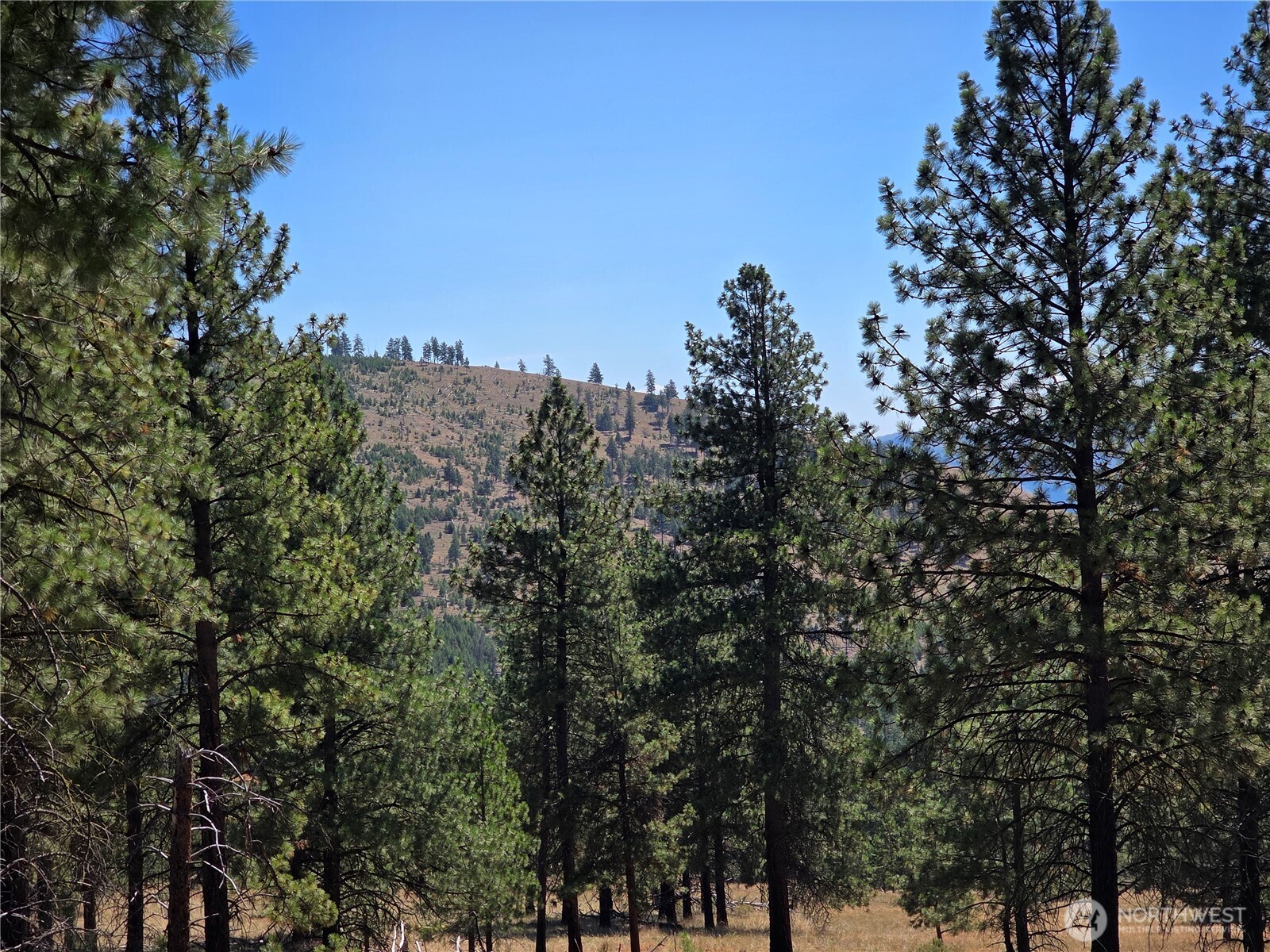 147 W High Country Drive Property Photo 10