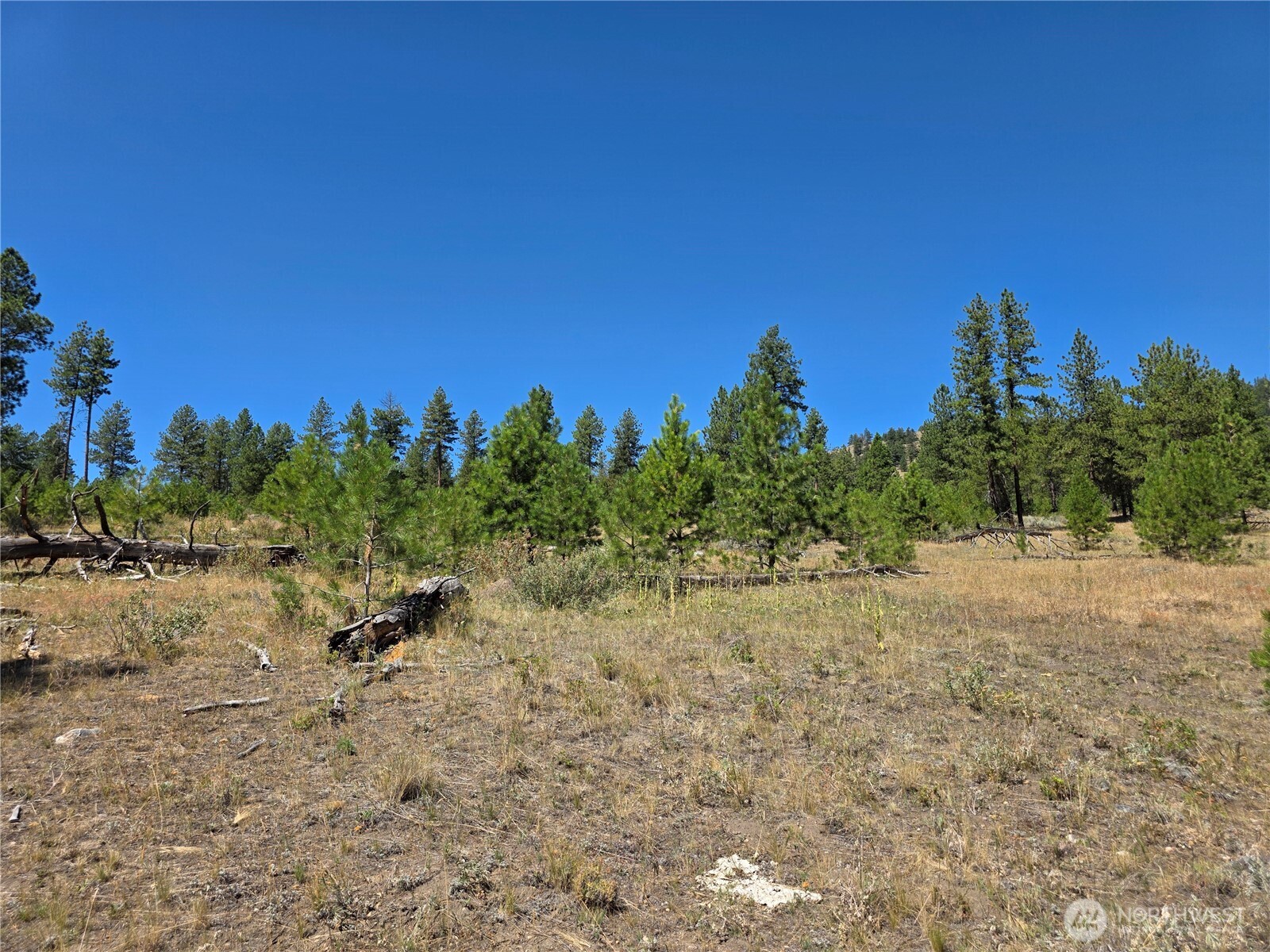147 W High Country Drive Property Photo 16