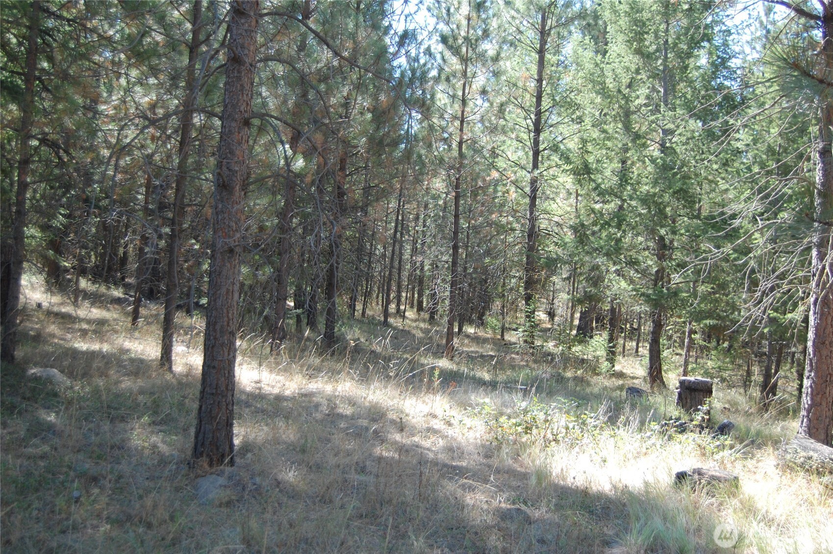 144 Cheif Joseph Trail Property Photo 9