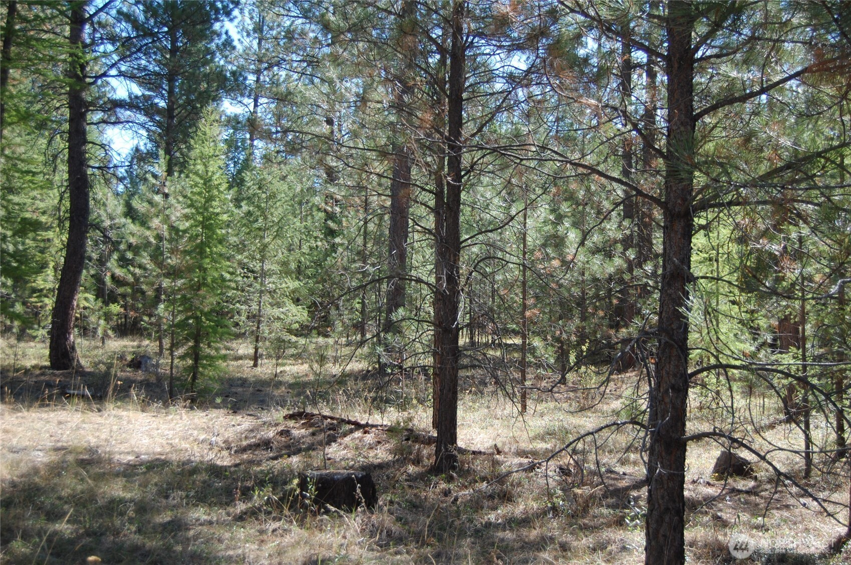 144 Cheif Joseph Trail Property Photo 10