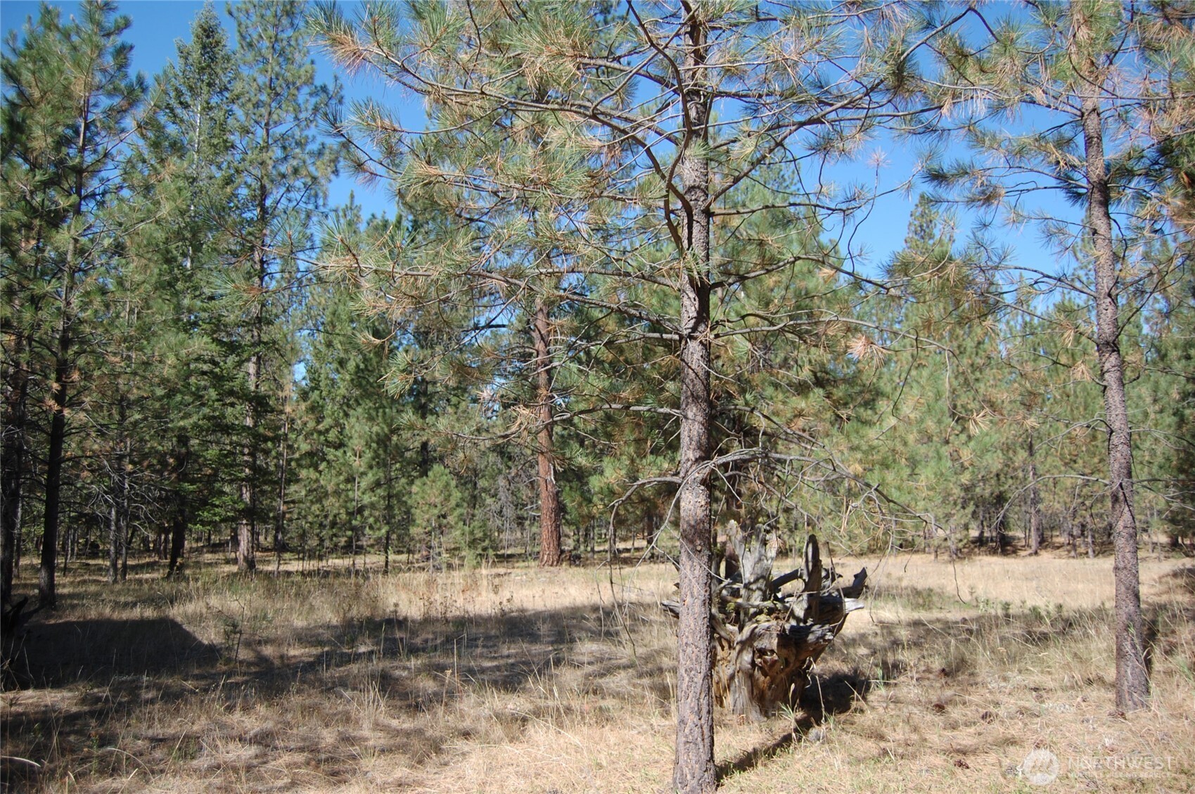 144 Cheif Joseph Trail Property Photo 11