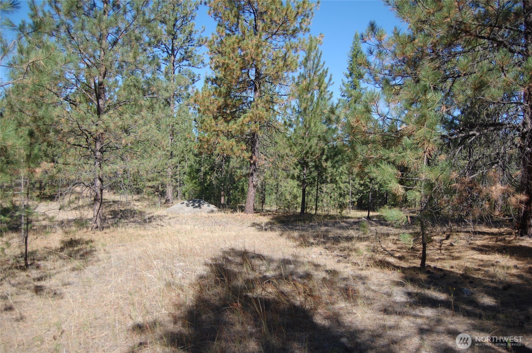 144 Cheif Joseph Trail Property Photo 12