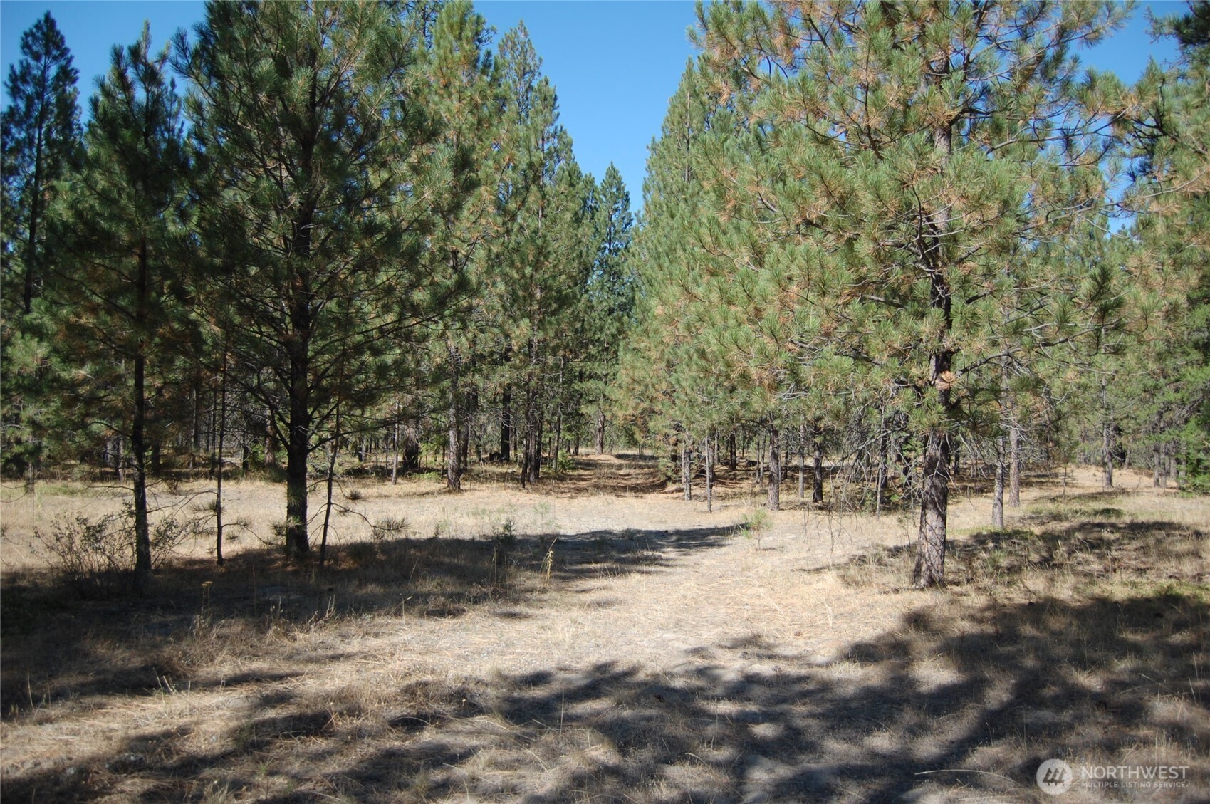 144 Cheif Joseph Trail Property Photo 13