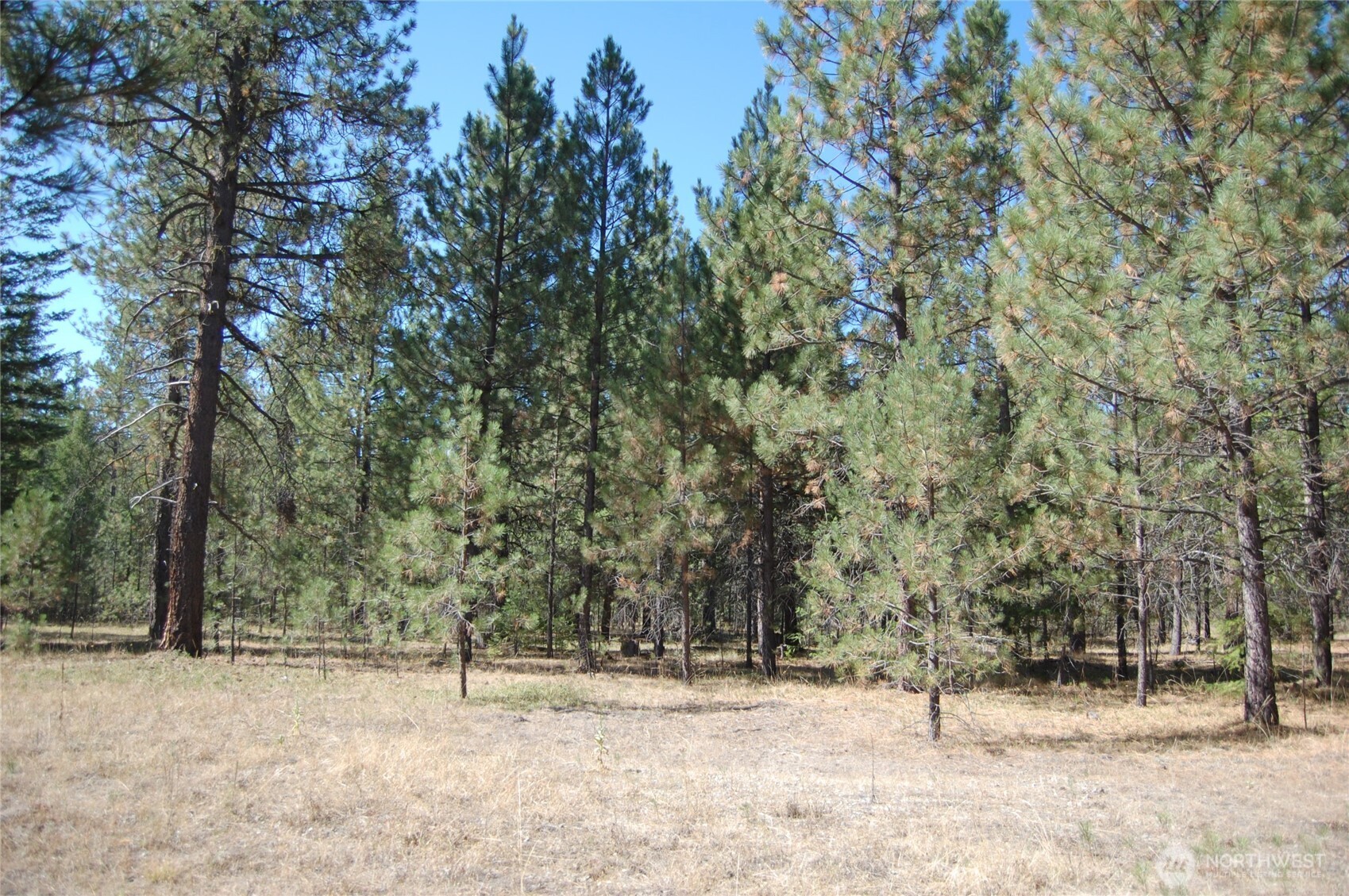 144 Cheif Joseph Trail Property Photo 14