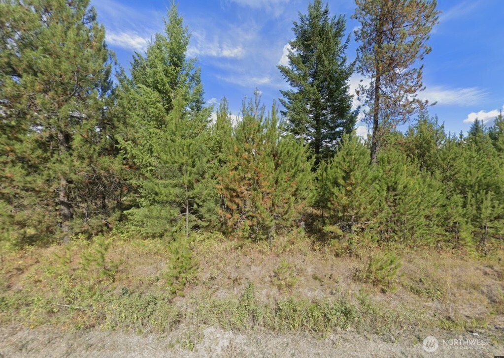 2071 Driskill Road Property Photo 4