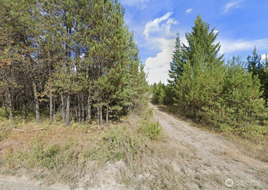 2071 Driskill Road Property Photo 5