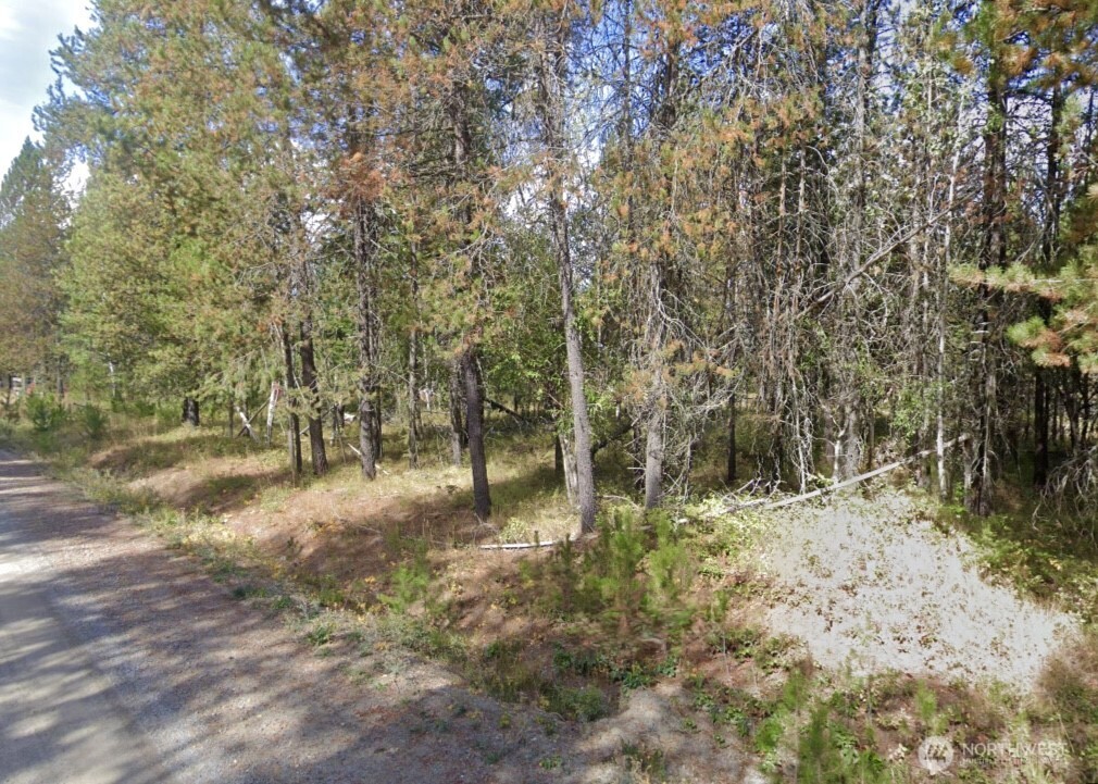 2071 Driskill Road Property Photo 16