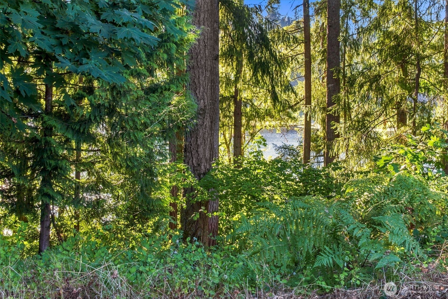7027 Munn Lake Drive Property Photo 4