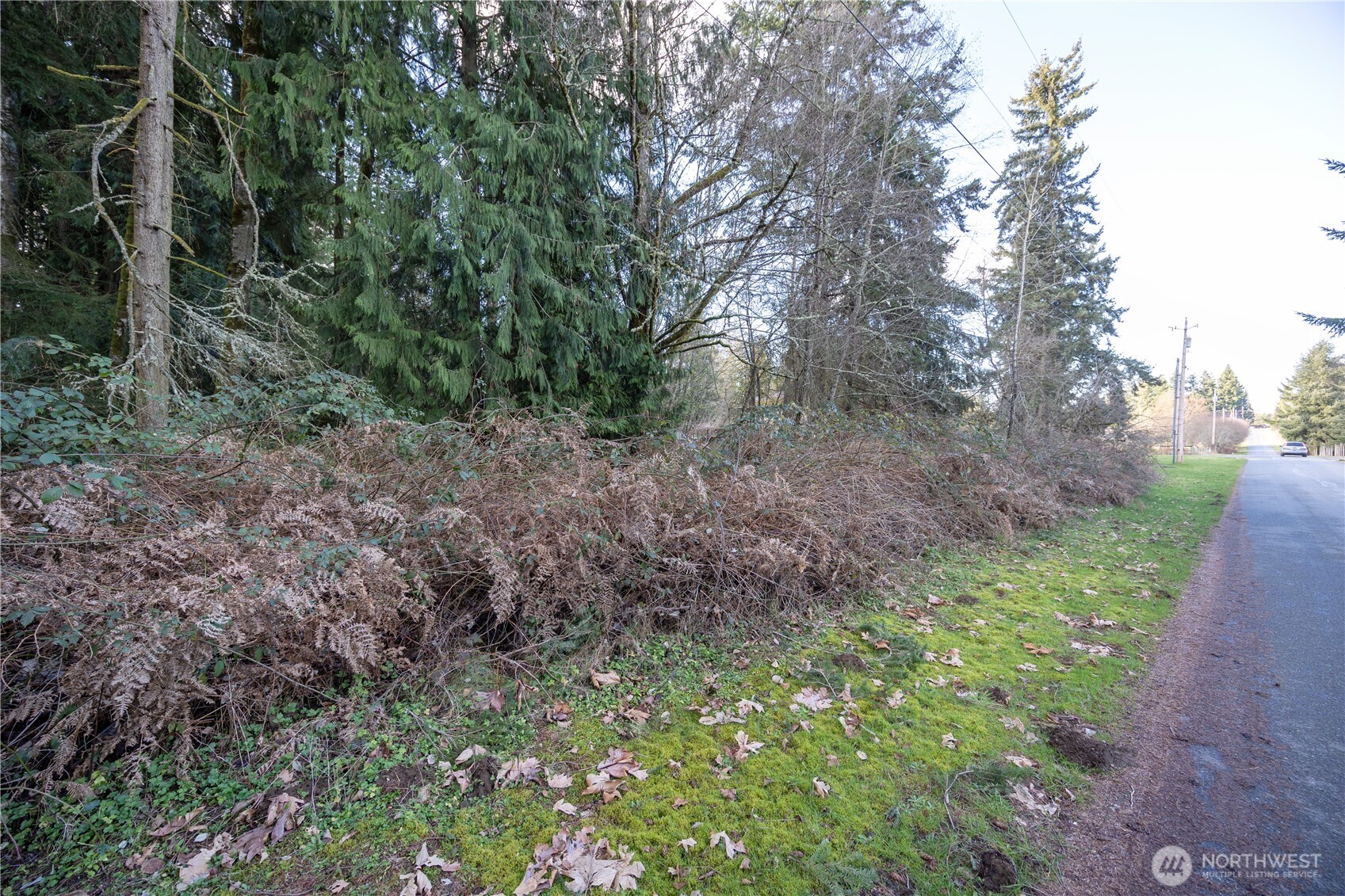 12102 193rd Avenue Property Photo 8