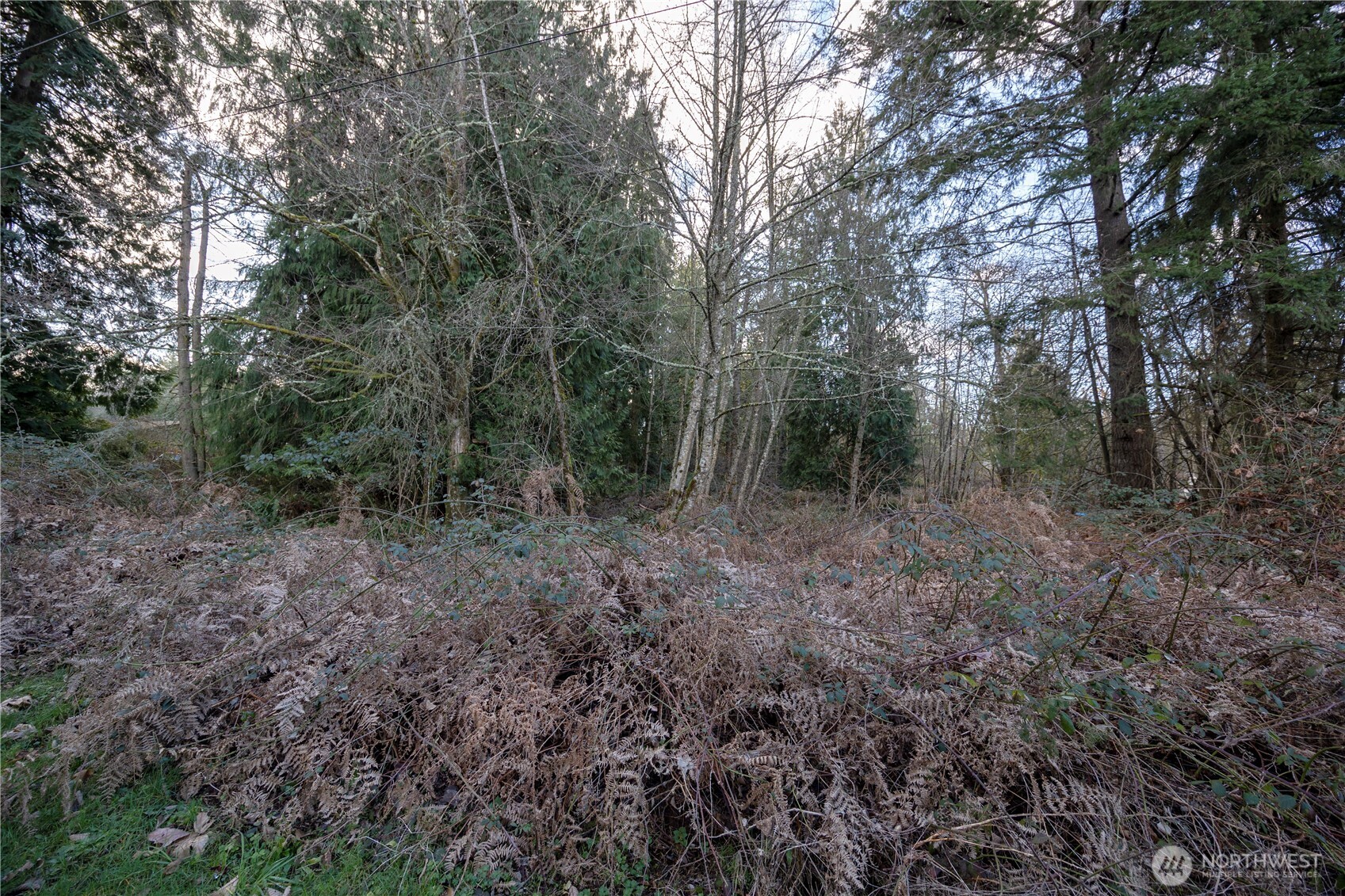 12102 193rd Avenue Property Photo 9
