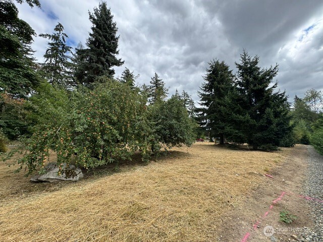 36852 52nd Avenue C-n Property Photo 4